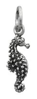Charm Giovanni Raspini Charms in Argento 06449 - 06449